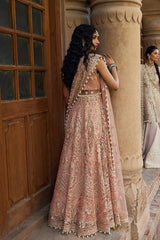 Dastangoi Wedding Formals by Afrozeh | Wedding & Party Collection | Madhur