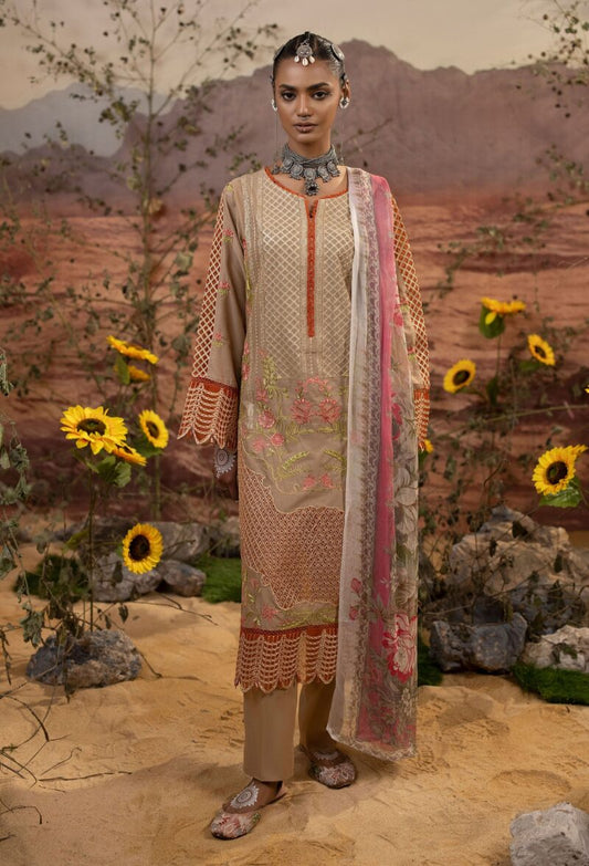 Traditional Salwar Kameez | Traditional Pick by Adan’s Libas