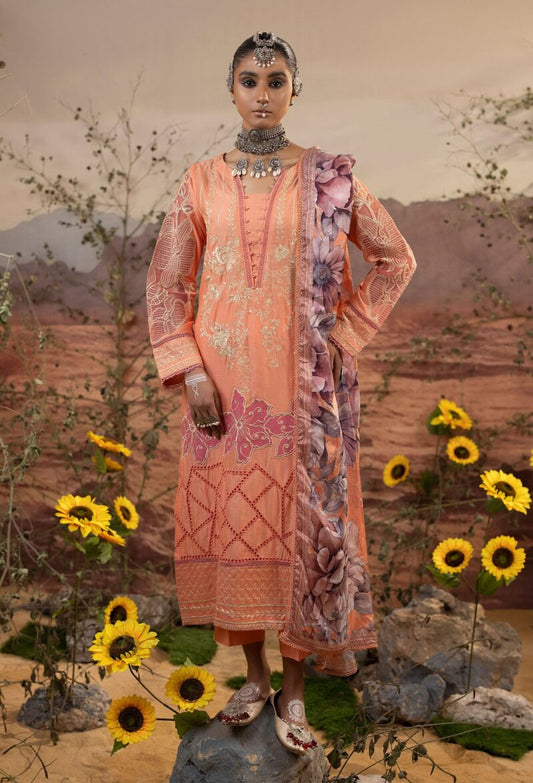 Traditional Salwar Kameez | Traditional Pick by Adan’s Libas