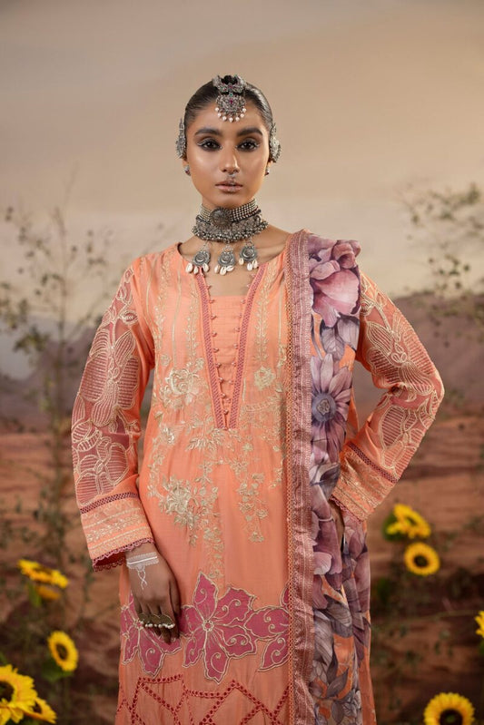 Traditional Salwar Kameez | Traditional Pick by Adan’s Libas