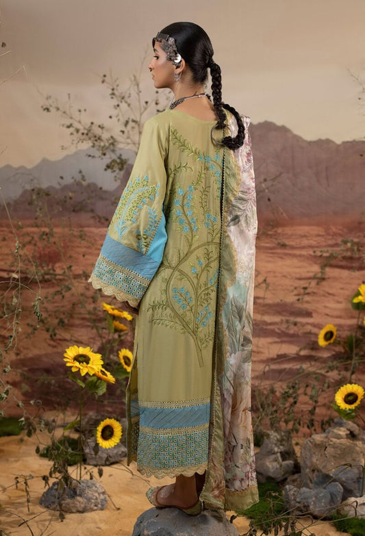 Traditional Salwar Kameez | Traditional Pick by Adan’s Libas