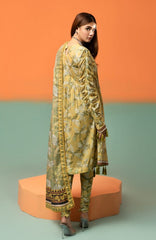 Pop up Salwar Kameez