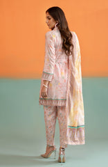 Pop up Salwar Kameez