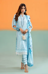 Pop up Salwar Kameez