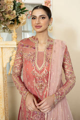 Wedding & Bridal Collection by Qalamkar