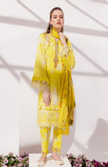 Sunshine Bloom Chikankari Lawn | Printkari Edition 2024 by Alzohaib