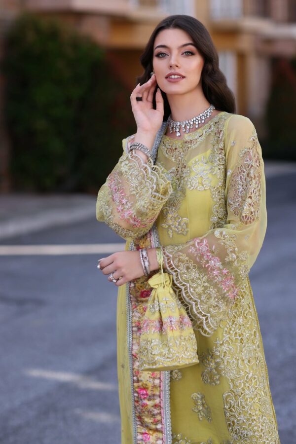 Noor Chiffon’23 by Saadia Asad | D4-Minali