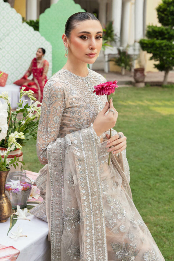 Imrozia Premium Chiffon Party Collection | IB-36