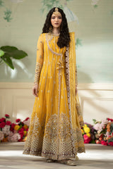 Wedding & Bridal Collection by Qalamkar