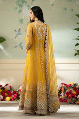 Wedding & Bridal Collection by Qalamkar