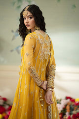 Wedding & Bridal Collection by Qalamkar