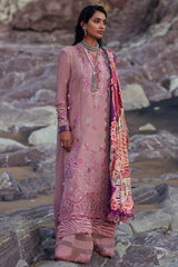 Elan Winter Collection