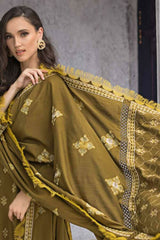 Gul Ahmed Winter Collection | 2023 | AP32073